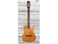 godin-multiac-encore_635a53b51023b.jpg