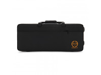 grassi-sal700-school-series-alto-saxophone-black_687a2bfcb42e9.jpg