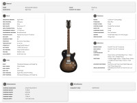 gretsch-electromatic-jet-bf_69247e79dc33a.jpg