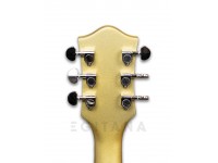 gretsch-g2420t-gold-streamliner_5ff736b3910ea.jpg