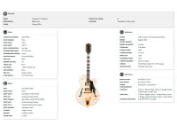 gretsch-g2420tg-streamliner-hollow-body-ltd-vintage-white_6996e42ea4c92.jpg