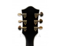 gretsch-g2655tg-p90-ltd-bigsby-mbk_5ff5e5edd8a74.jpg