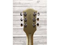 gretsch-g5410t-limited-edition-tri-five-bigsby-rf-two-tone-vintage-white-casino-gold_60a29e28a5506.jpg