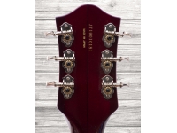 gretsch-g6120t-59-ltd-nashville-dcs_5eb2a6fd66775.jpg