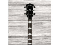 gretsch-g6129t-89-vintage-select-89-sparkle-jet-bigsby-rosewood-fingerboard-gold-sparkle_64b55b7bc332a.jpg