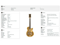 gretsch-g6134tg-ltd-paisley-penguin-gd_68b6c28e1a103.jpg