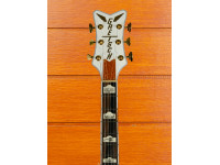 gretsch-g6136tg-op-limited-edition-orville-peck-falcon_668663dd3422e.jpg