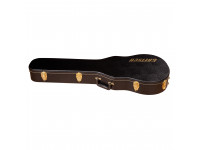 gretsch-g6238ft-case_61d56d3b8562e.jpg
