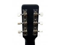 gretsch-g9500-jim-dandy-flat-top_5f86c1a80e844.jpg