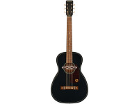 gretsch-jd-parlor-delto-tspg-blkt_65b8d7ff3331b.jpg