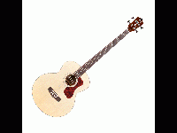 guild-b-140e_5db1b70c6eba6.gif