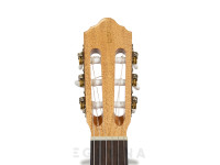 guitarra-classica-apc-1c-parte-de-cima_640b7958a884d.jpg