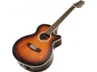 guitarra-folk-eletrificada-ashton-sl29-12ceq-vista.jpg