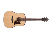 ibanez-aad100_60cc7a6a8d199.jpg