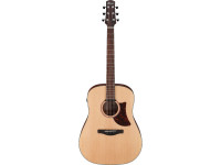 ibanez-aad100e_60cc79c446c71.jpg