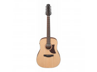 ibanez-aad1012e-opn_63d406d0bd864.jpg