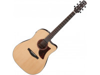 ibanez-aad170ce-lgs_6125fc65573ba.jpg