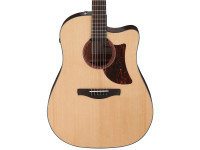 ibanez-aad170ce-lgs_6125fc67c8293.jpg