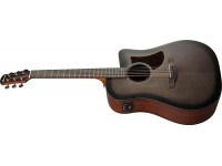 ibanez-aad50ce-tcb_63dbcb8d63c47.jpg