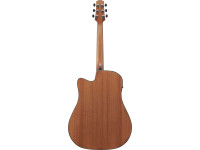 ibanez-aad51ce-dvs_696e4705a5a54.jpg