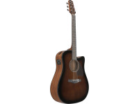 ibanez-aad51ce-dvs_696e470944150.jpg