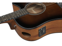 ibanez-aad51ce-dvs_696e472050dfd.jpg