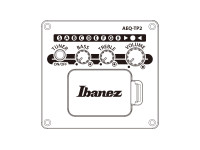 ibanez-aad51ce-dvs_696e4722df269.jpg