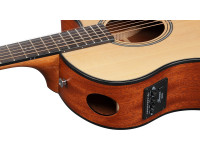 ibanez-aam50ce-opn_65b294d4da546.jpg