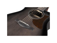 ibanez-aam70ce-tbn_65ba113ca836a.jpg