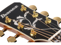 ibanez-ac390ce-nt_6980e37281689.jpg