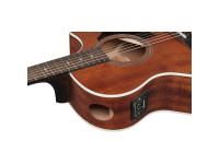ibanez-ae140-opn_69e74539450e9.jpg