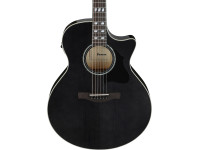 ibanez-ae170tbk-transparent-black_6978e517b6d38.jpg