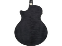 ibanez-ae170tbk-transparent-black_6978e51a6759a.jpg