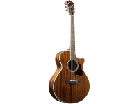 ibanez-ae245-nt_5caf5da5103de.jpg