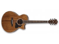 ibanez-ae245-nt_5caf5da5a710c.jpg
