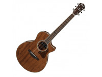 ibanez-ae245jr-opn_600f00b19eb37.jpg