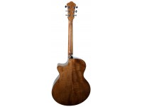 ibanez-ae295-lgs_5f05aa7728d07.jpg