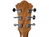 ibanez-ae295-lgs_5f05aa7a3bb87.jpg