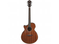 ibanez-ae295l-lgs_63b3fdf47630f.jpg