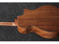 ibanez-ae295l-lgs_63b3fe015858a.jpg