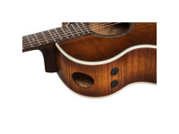ibanez-ae340fmh-mhs_65e5ffb42e4da.jpg