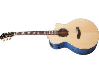 ibanez-ae390-nta_65e600369adb8.jpg