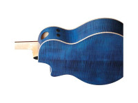 ibanez-ae390-nta_65e6003b9c727.jpg