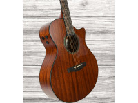 ibanez-ae440lgs_64a6958ac13d8.jpg