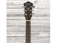 ibanez-ae440lgs_64a6958bd0764.jpg
