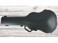 ibanez-ae440lgs_64a6958e7f8a7.jpg