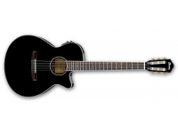 ibanez-aeg10nii-bk_5c94b7e18ab53.jpg
