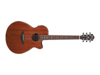 ibanez-aeg220-lgs_6405b0a999d69.jpg