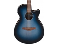 ibanez-aeg50-ibh_5e4a80132e32e.jpg