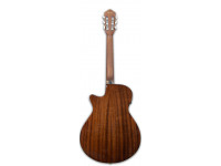 ibanez-aeg50n-nt-nylon_601036493c9b8.jpg